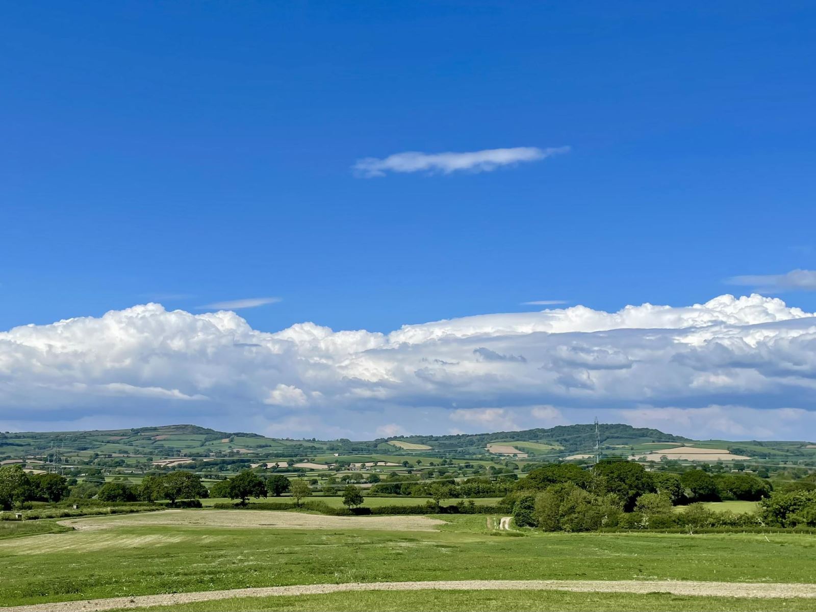 Bridport Camping